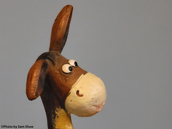 2025-02-23 - Nose