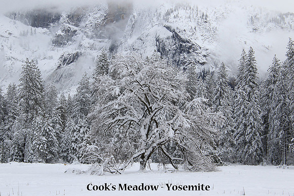 2022-01-27 - Meadow