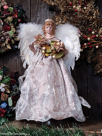 2023-12-03 - Angel