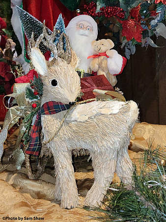 2023-12-21 - Reindeer