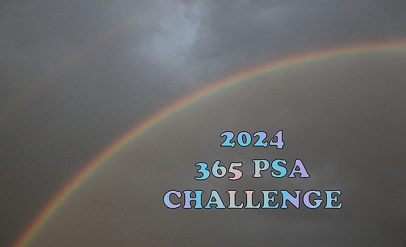 2024 Title