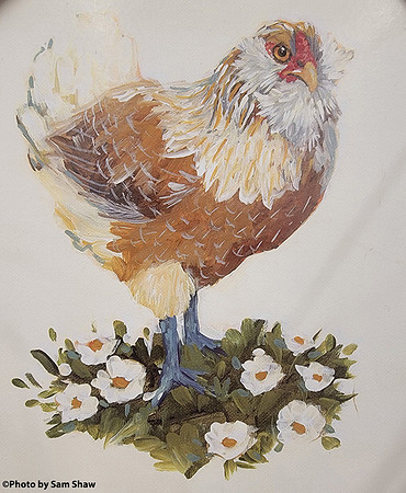 2024-08-31 - Hen