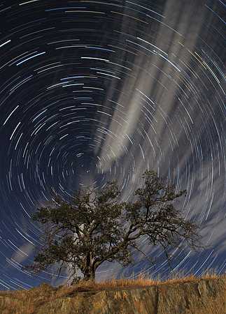 Oak Startrails and Moving Clouds