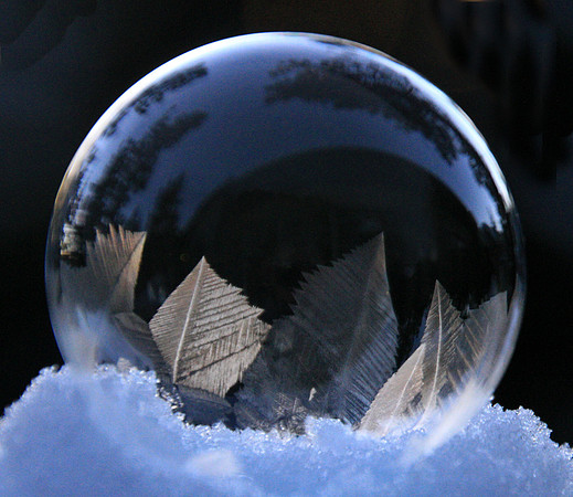 Ice Crystals Forming in Bubble