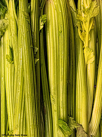 2024-03-20 - Celery