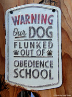 2024-04-18 - Dogs