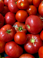 2025-08-17 - Tomatoes