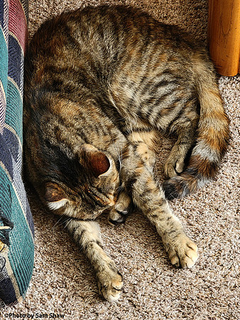 2025-02-27 - Nap