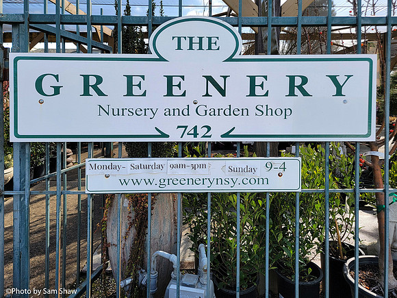 2025-02-18 - Nursery
