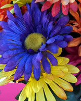 952-03-20190512_135531 Flowers