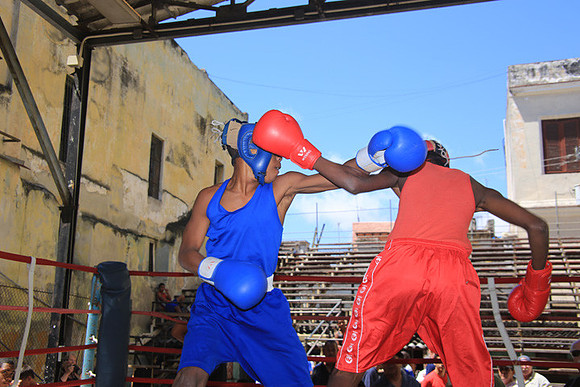 Young Boxers