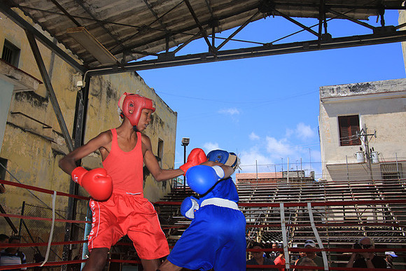 Young Boxers