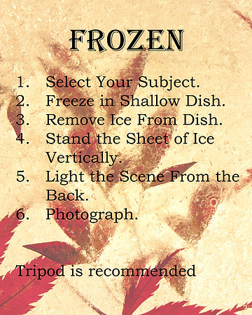 Directions - Frozen