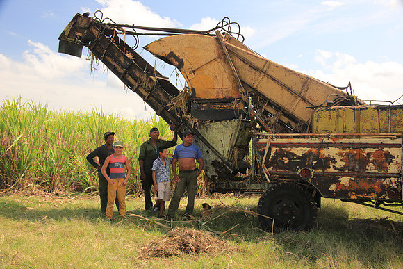 Sugar Cane Workers