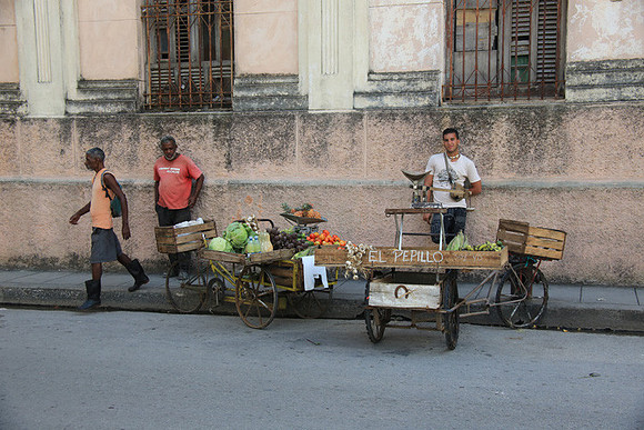 Fruit Vendors
