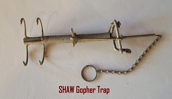 2021-09-25 - Trap