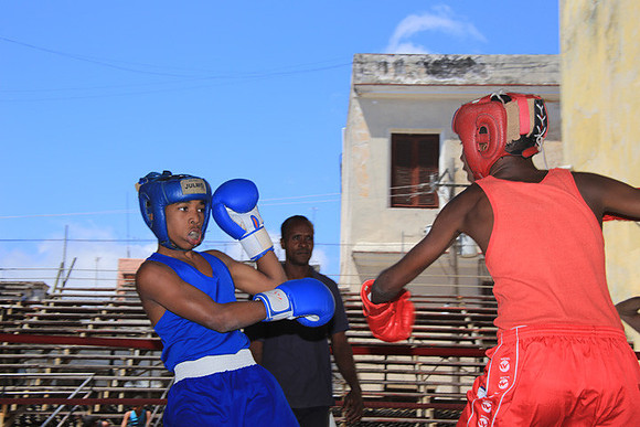 Young Boxers