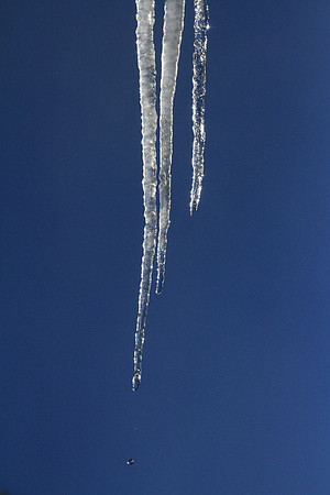 2016-01-29 - Icy