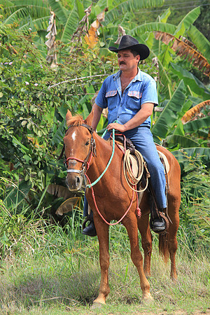 Cuban Cowboy