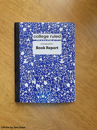 2025-06-28 - Report