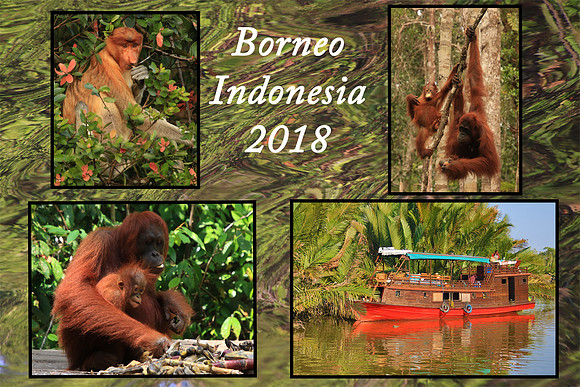 Borneo
