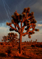 2021-07-20 - Stormy
