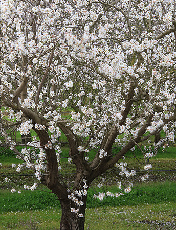 2019-03-06 - Indications of Fall-Spring