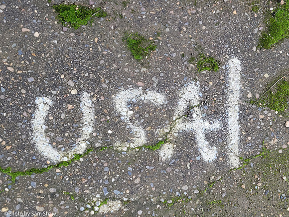 2025-01-06 - Mark