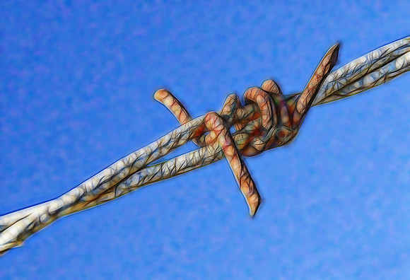 2017-01-11 - Barbed