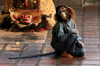 2018-72-10002 - Barong Dance of Bali