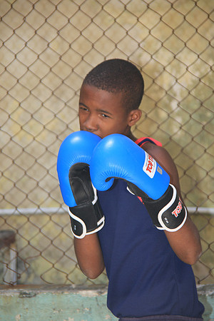 Young Boxer