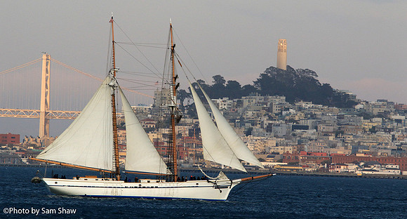 2025-07-04 - Sail