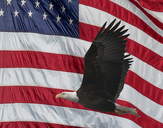 2019-09-30 - Freedom