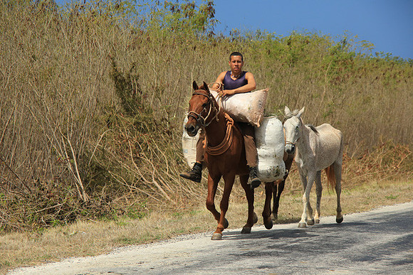 Cuban Cowboy