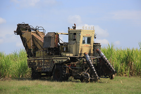 Sugar Cane Harvester