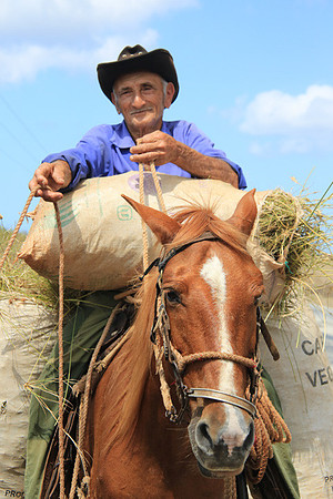 Cuban Cowboy
