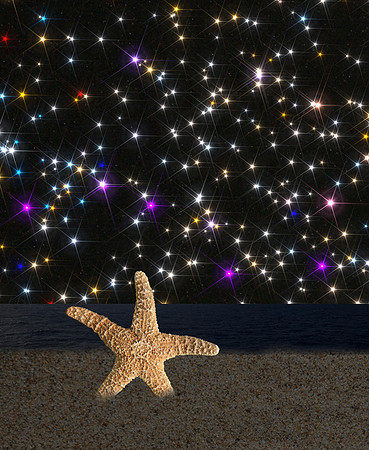2016-12-08 - Stars