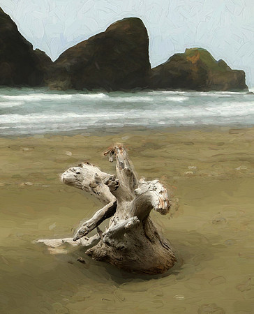 2017-06-27 - Driftwood