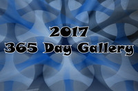 Sam's 2017 PSA 365 Challenge