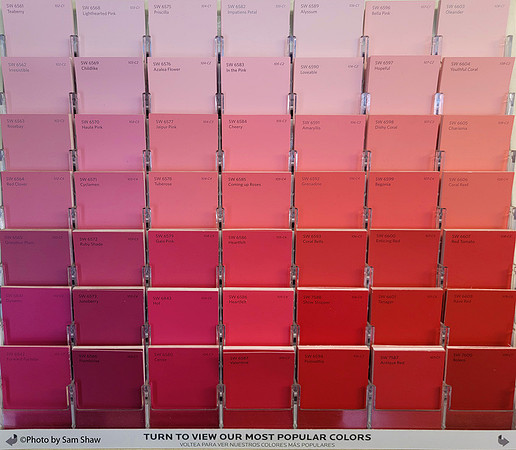 2022-12-20 - Color Palette