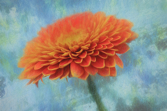 CRE - Dreamy Flower-2430-2
