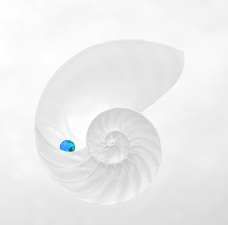2016-06-09 - White on White