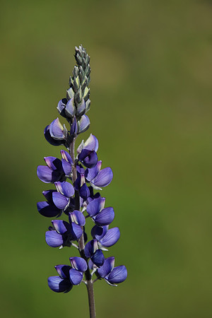2019-03-23 - Photo Field Trip