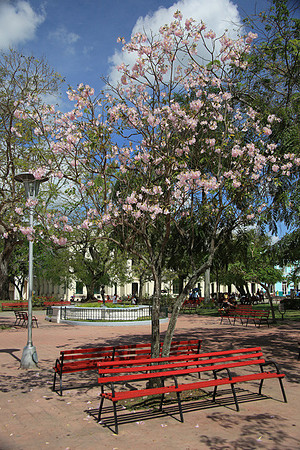 The Square in Santa Clara
