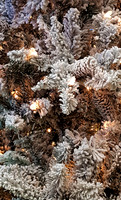 2019-12-05 - Flock
