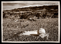 2017-03-08 - Field of Dreams