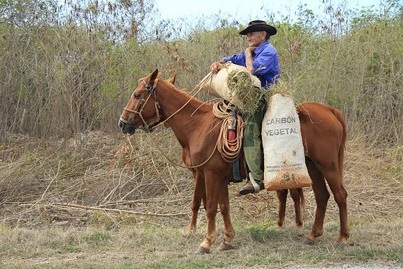 Cuban Cowboy