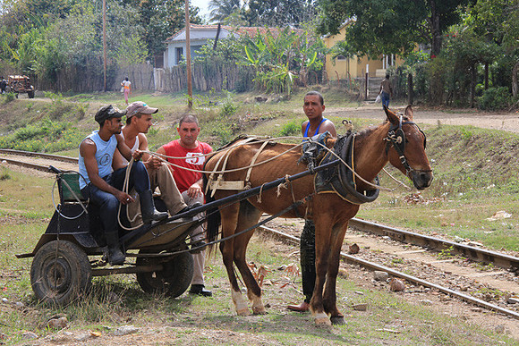 Cubans, Horse and Cart