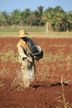 Spreading Fertilizer