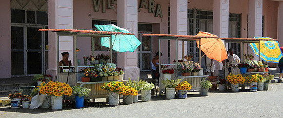 Flower Vendors